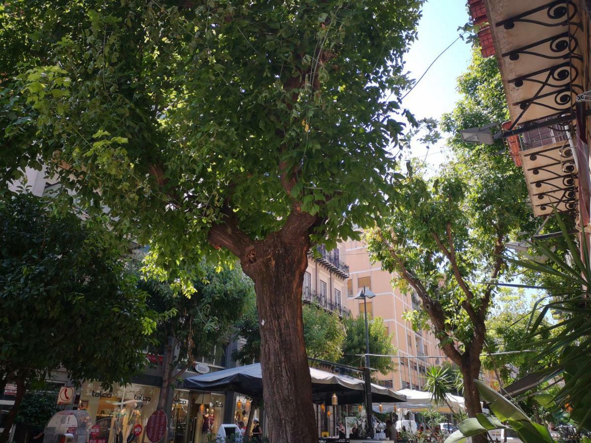 La Casa Dolce Bed & Breakfast - Palermo — Photos 1