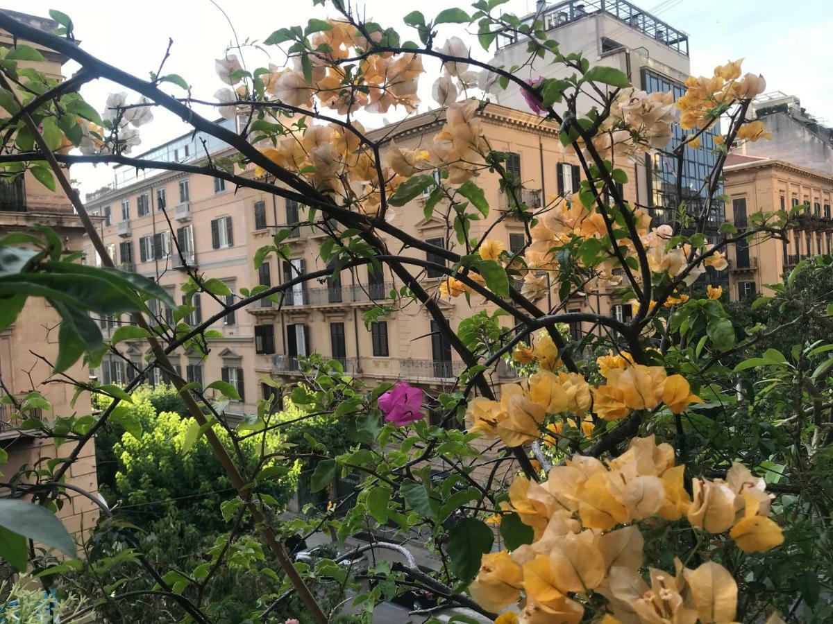 La Casa Dolce Bed & Breakfast - Palermo, Palermo